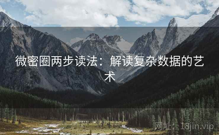 微密圈两步读法：解读复杂数据的艺术